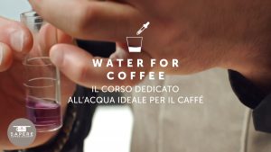 Sapere Coffee Academy_Water for Coffee